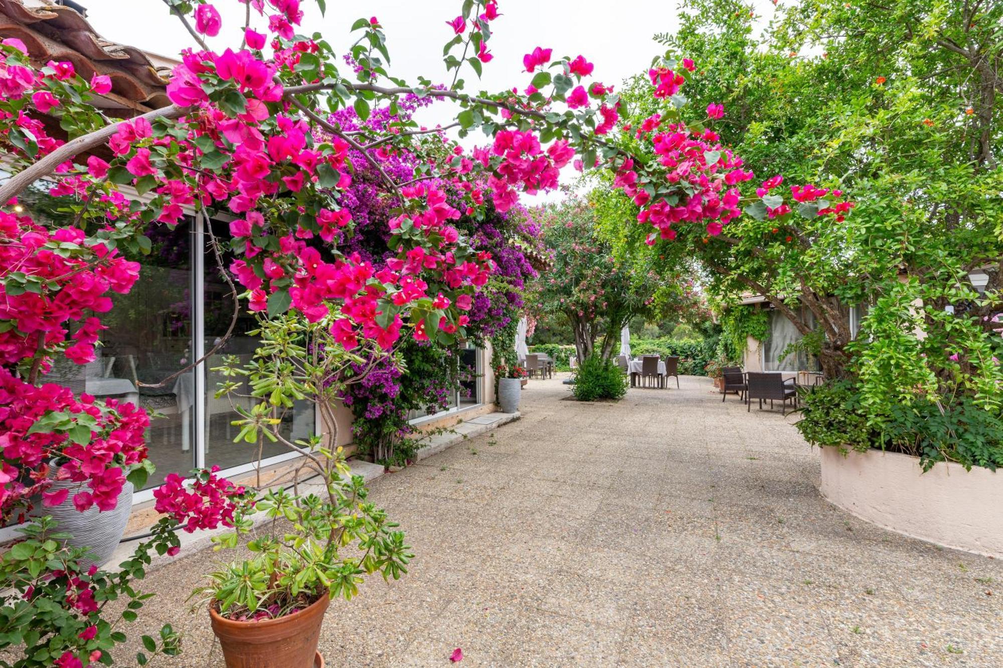 Chambres D'Hotes Les Amandiers Saint-Tropez Dış mekan fotoğraf