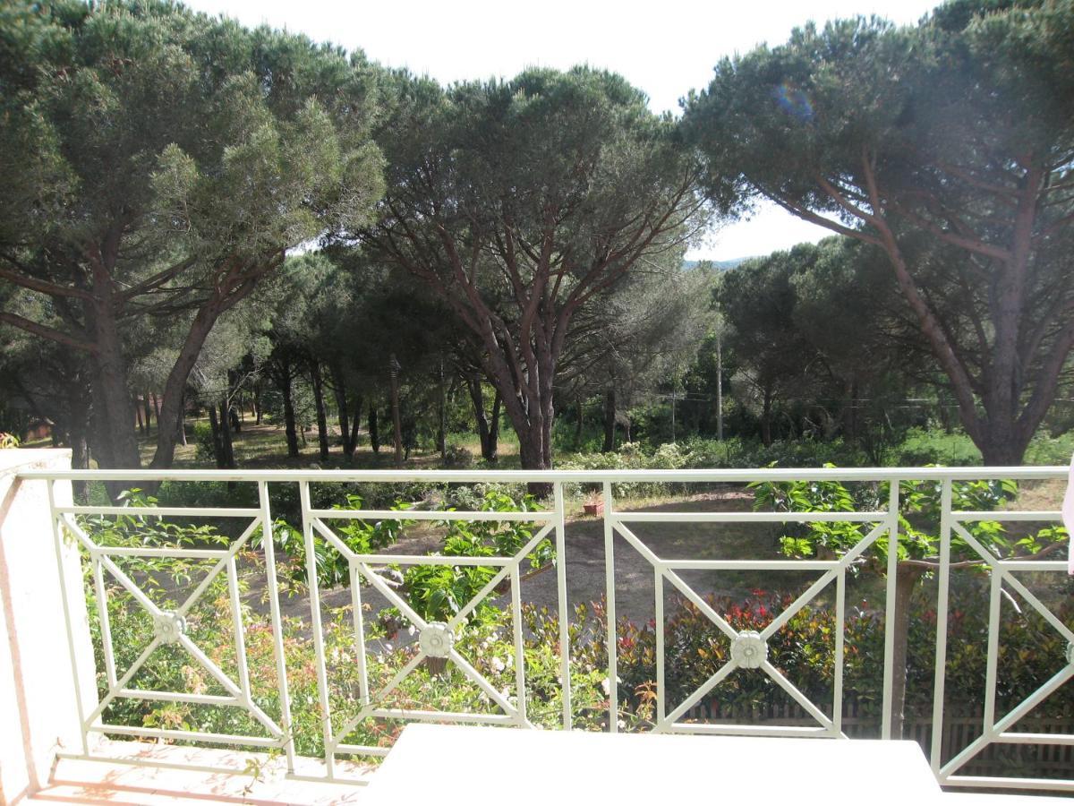 Chambres D'Hotes Les Amandiers Saint-Tropez Dış mekan fotoğraf